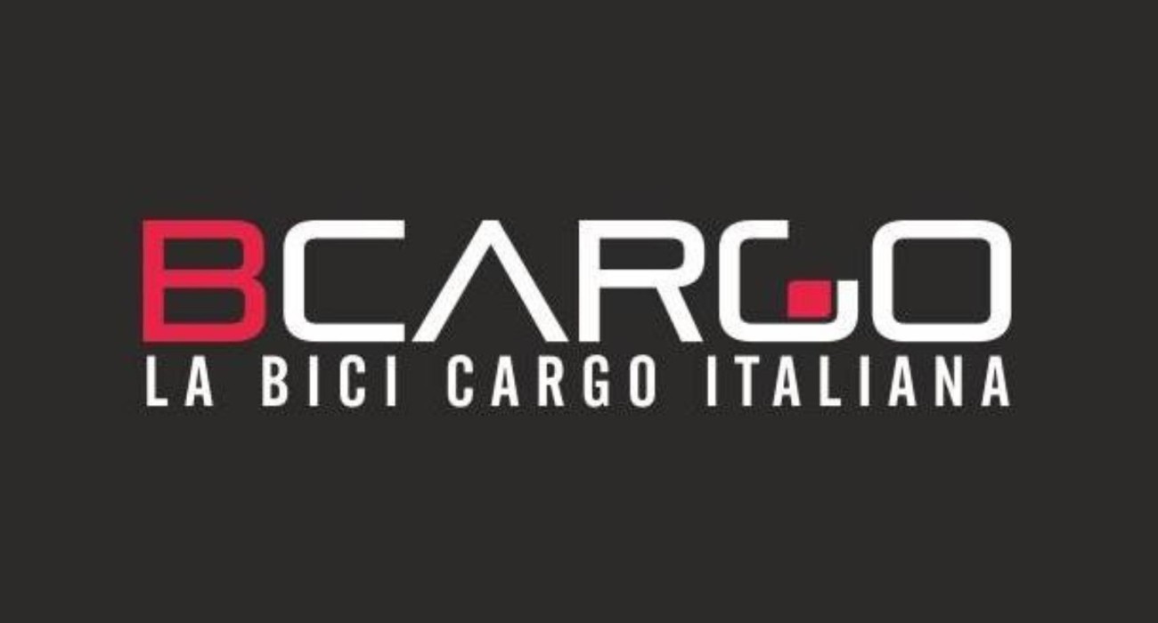 Cargo e-bike